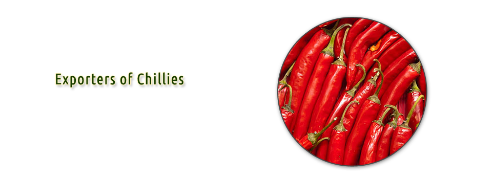 Red chillies india