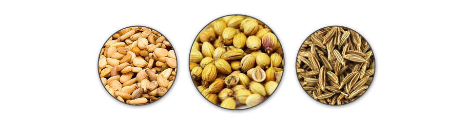 Exporters sesame seeds