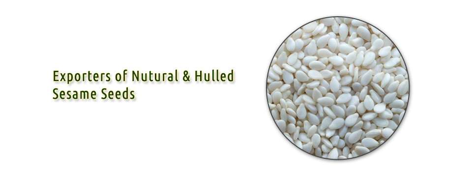 Hulled sesame seeds india