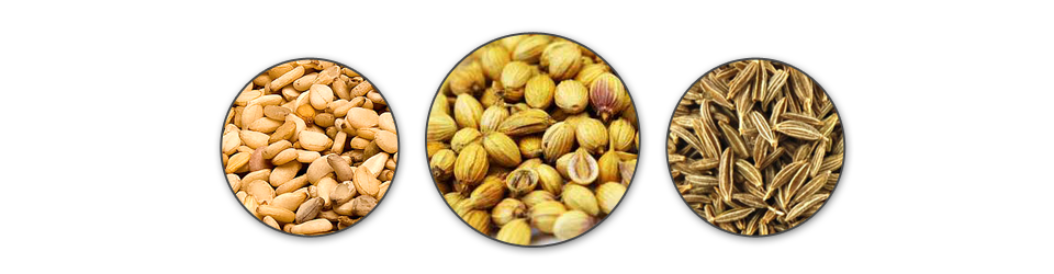 Coriander seeds