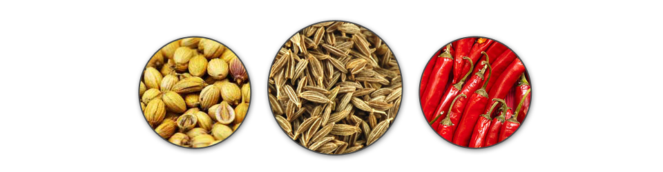 Coriander Seeds Suppliers