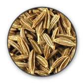 Cumin seeds