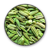 Fennel seeds